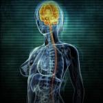 Image attachée : Girl Fight annoncé en artworks