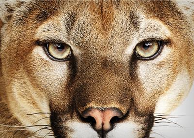 Mountain Lion, le successeur de Lion Mac OS...