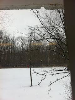 Aventures dans les neiges de l’autre bout du monde