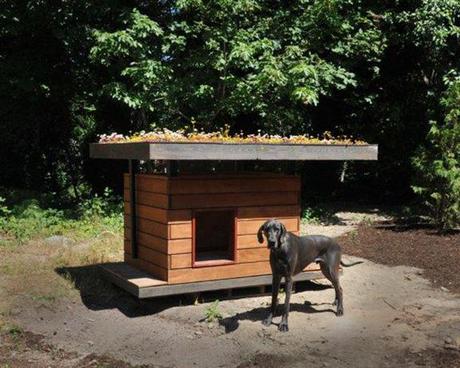 ecodoghouselr1 Des niches de luxe