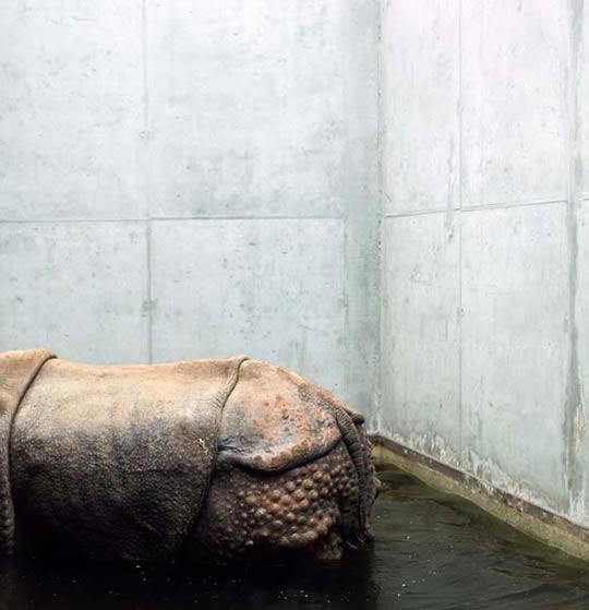 Les lauréats du Prix HSBC 2012 : Leonora Hamill et Eric Pillot