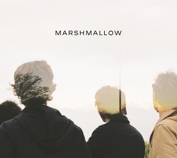 Zoom sur Marshmallow