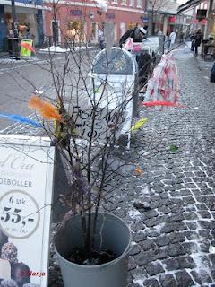 Battre ses parents ? Fastelavn ris