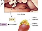 Syndrome CUSHING DIABÈTE: Premier traitement approuvé Food Drug Administration