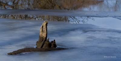 Balade le long de l'Allier en Haute-Loire, entre soleil et dégel
