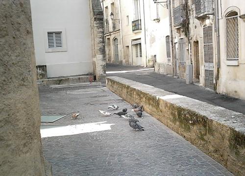 poésie,poèmes,poète,écriture,chansons