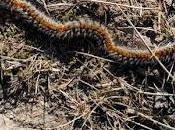 Retour vers printemps