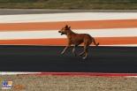 2011 Indian Formula 1 Grand Prix, Formula 1