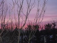 LA PHOTO DE LA SEMAINE #6 LA PHOTO DE LA SEMAINE #6