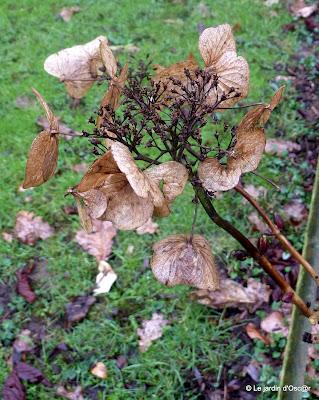 ...Revenons à nos moutons bourgeons !Après l'épisode...