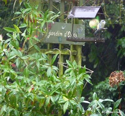 ...Revenons à nos moutons bourgeons !Après l'épisode...