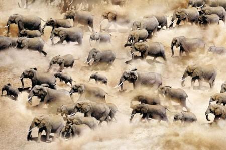 253ème sortie – Une sortie groupée