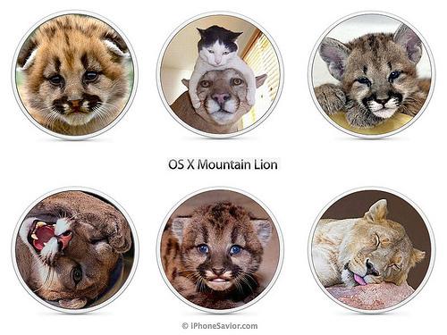 Mountain Lion OS X (Puma), les photos rejetées...
