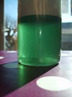 Gel douche mentholé (au SLSA)