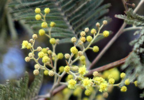 4 paris 19 fev 2012 127.jpg