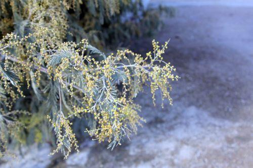 2 paris 19 fev 2012 122.jpg