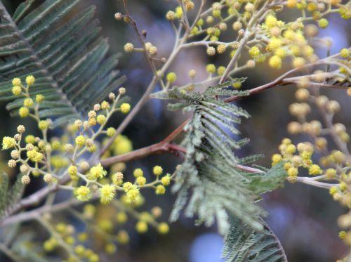 3 paris 19 fev 2012 128.jpg