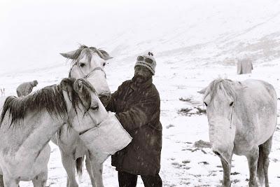 Visages du Ladakh: on the road