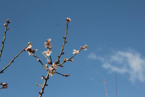 paris 19 fev 2012 003.jpg