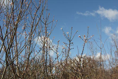 paris 19 fev 2012 002.jpg