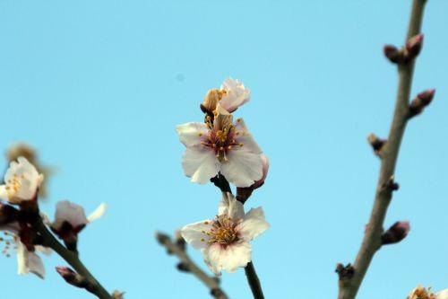 paris 19 fev 2012 007.jpg