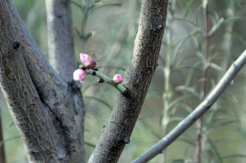paris 19 fev 2012 011.jpg