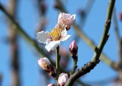 paris 19 fev 2012 006.jpg