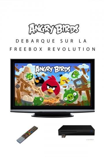 498096 360x540 Angry Birds arrive sur la Freebox Revolution