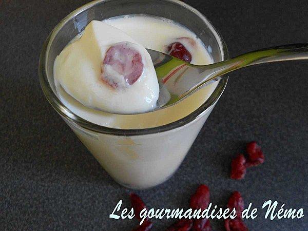 yaourts-cranberries--1-.JPG