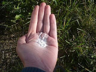 In love with Dermalogica # 1