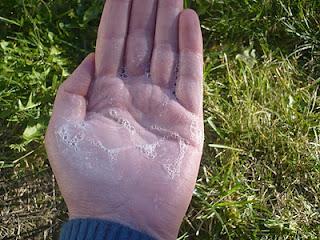 In love with Dermalogica # 1