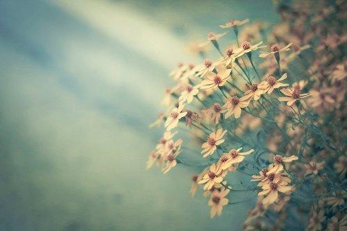 Des p’tites questions venues d’ailleurs