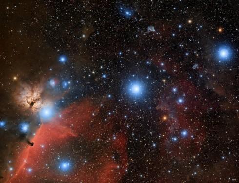 Dans la belle ceinture d'Orion, Alnilam (à gauche) est entourée de la nébuleuse de la Flamme et la nébuleuse Tête de Cheval