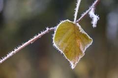 littérature; poésie; morceaux choisis; livres