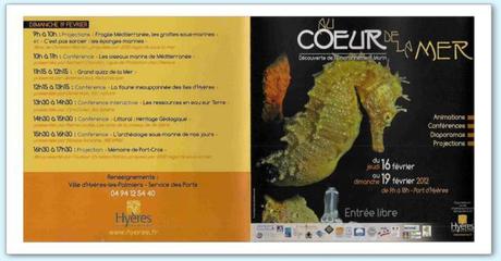 Bulletin scientifique archéologique subaquatique 2011