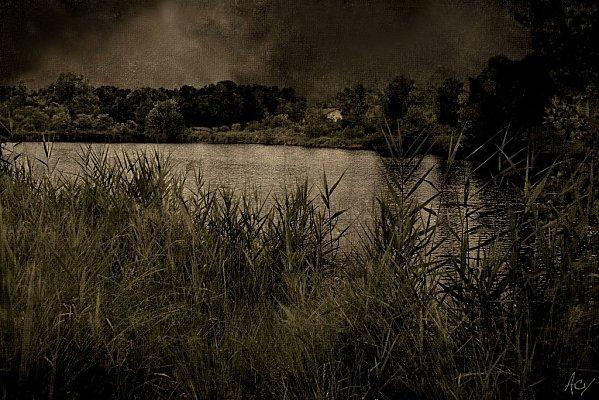 Le soir tombe sur le lac