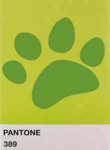 patte_chien Tout en vert !!!