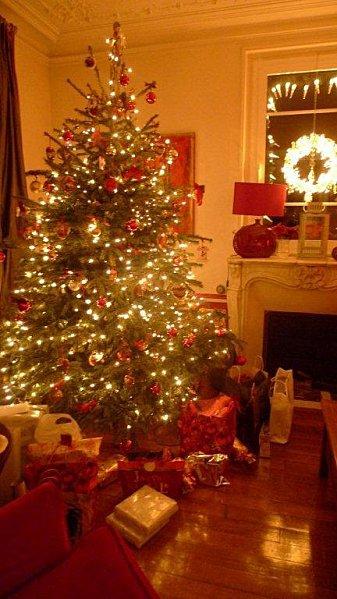 sapin et cadeaux