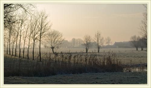 campagne flamande.jpg