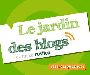 LE SEMIS AU DEFI -Défi jardin- Lancement