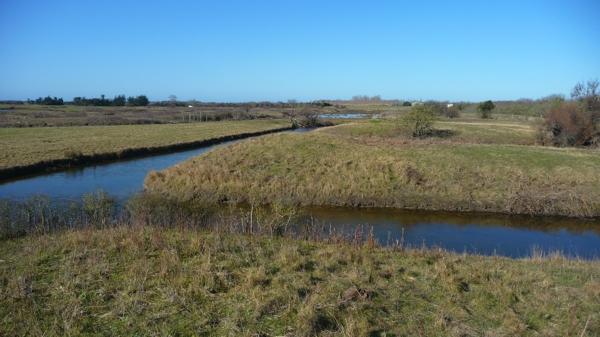 Une journée dans le marais [1]