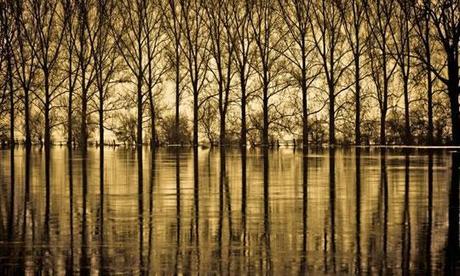 Krzysztof Grygiel sacré meilleur photographe amateur européen par Canon