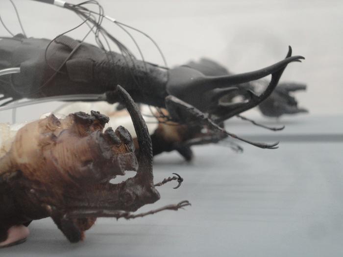 Guest pics 02 - Graffiti art mag