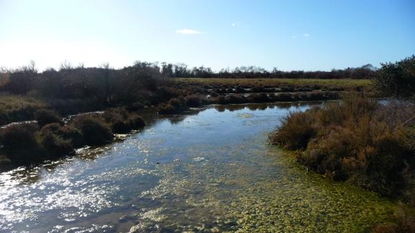 Une journée dans le marais [2]