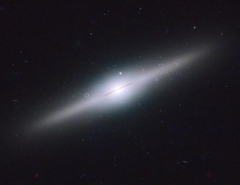 Black Hole ESO 243-49 HLX-1