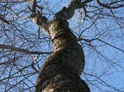 L’âge l’éternité