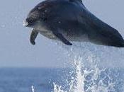 Sorties naturalistes