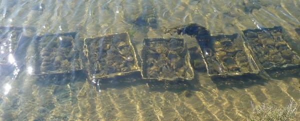 Une journée dans le marais [3]