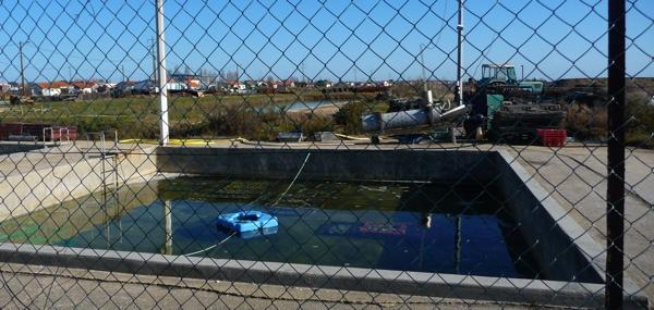 Une journée dans le marais [3]