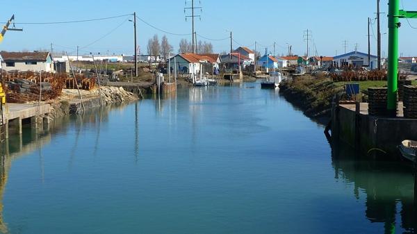 Une journée dans le marais [3]